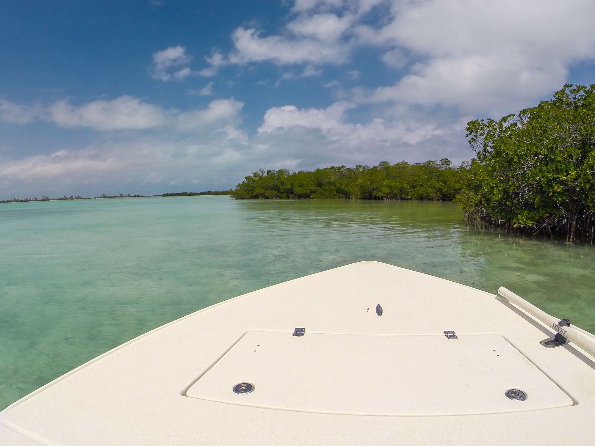 Bonefishing along the mangroves of North Caicos