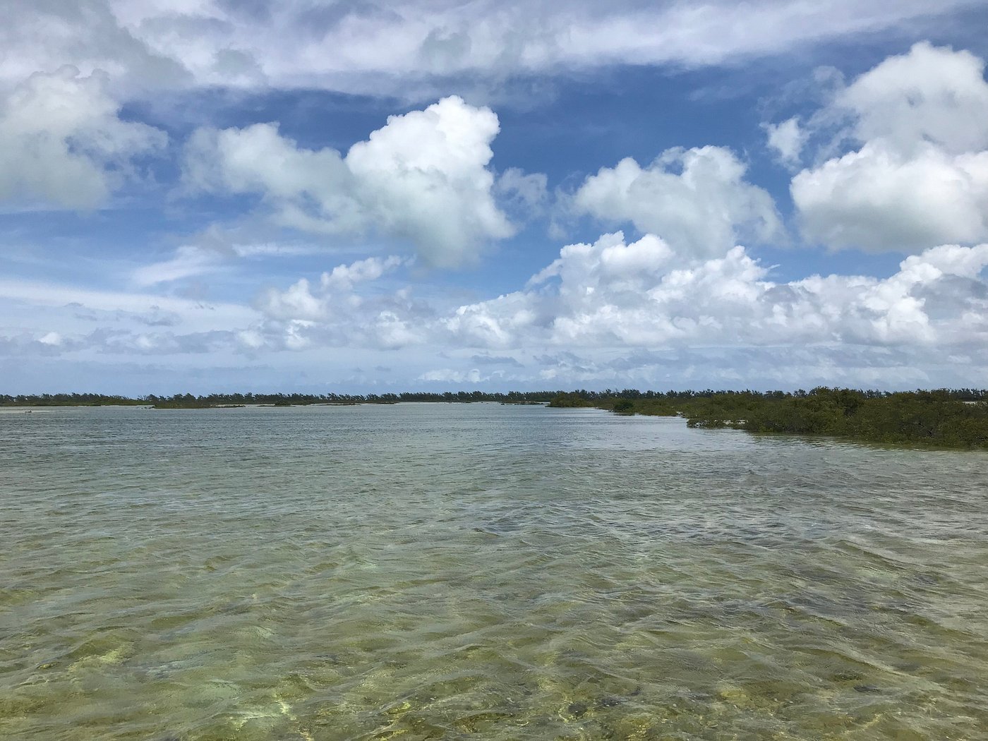 Bottle Creek
